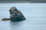 PICTURES/Oregon Coast Scenic Railway - Rockaway to Garibaldi/t_P1020954.JPG